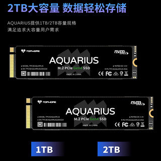 TOPMORE 达墨 水瓶座 AQUARIUS NVMe M.2 固态硬盘 2TB