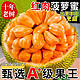 龙觇   红肉菠萝蜜  8-10斤装