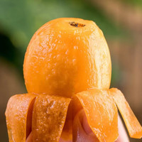 寻鲜缘季 新鲜米易枇杷 1斤大果40-50g