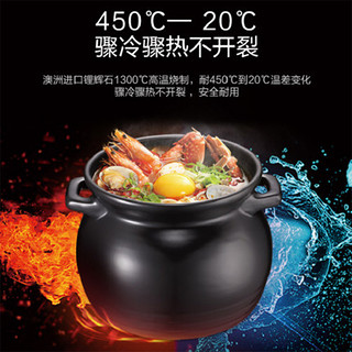 爱仕达耐高温养生炖汤煲聚味系列 陶瓷煲6.0升家用明火燃气RXC60C1J