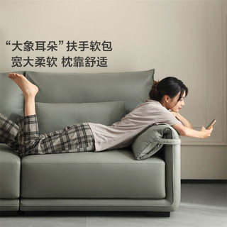 LINSY 林氏家居 现代布艺沙发客厅小户型科技布沙发三人大象耳朵S152 左双人+右双人