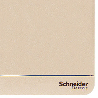 Schneider Electric 施耐德电气 AvatarOn绎尚系列 E8331L1LED_WG_C1 一开单控开关 薄暮金色 LED灯款