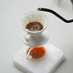 TERRAFORM COFFEE ROASTERS 啟程拓殖 巴布亚新几内亚 日晒 咖啡豆100g