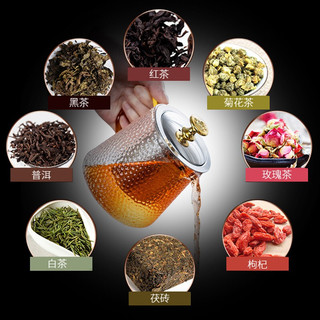 耐热玻璃茶具套装家用日式透明简约客厅锤纹功夫茶杯茶壶带过滤内胆红茶花茶泡茶器 7头（六色/龙纹把杯）雅致304+长方（条纹）白