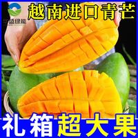 鲜宴 越南青芒果大芒果新鲜水果批发整箱4.5/8.5斤当季热