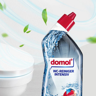 Domol 马桶清洁剂 750ml 海洋香型