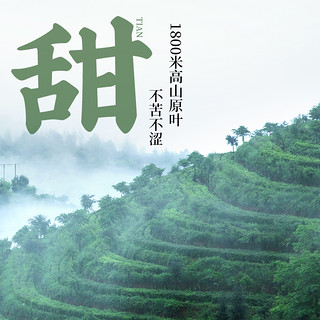 茉莉早春绿茶凤牌高香茉莉绿茶花草茶云南白毫2022新茶袋装100g