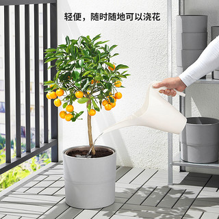 IKEA宜家IKEAPS2002洒水壶花瓶两用阳台绿植盆栽水壶简约现代