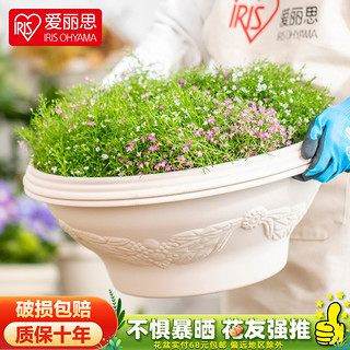 IRIS 爱丽思 Relife浮雕半球花盆 树脂仿陶式花盆 中小号 360/450