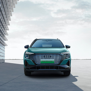 Audi 上汽奥迪 Q5 e-tron 23款 50 e-tron quattro 荣耀型 影武士版