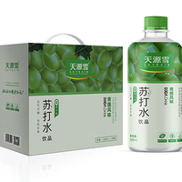 SKYRAIN 天源雪 苏打水饮品 青提风味 368ml*20瓶