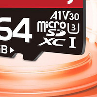 FANXIANG 梵想 K1 高速专业版 micro-SD存储卡 32GB（UHS-I、V30、U3、A2）