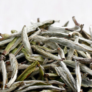 福鼎白茶白毫银针瑞聘号头春首采特级散茶叶250g