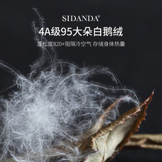SIDANDA 诗丹娜 被芯可水洗夏被95%白鹅绒被羽绒春秋被 地暖被加厚保暖冬被子 可水洗95白鹅绒可地暖被 220