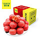 GREER 绿行者 桃太郎中小粉番茄 2.5kg