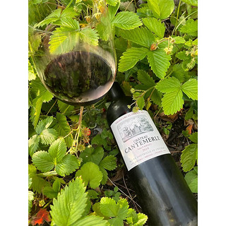 CHATEAU CANTEMERLE 佳得美庄园（Chateau Cantemerle）正牌干红葡萄酒 750ml 单支 2019年 法国进口 2019年单支装