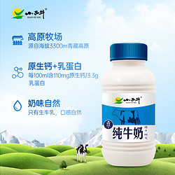 XIAOXINIU 小西牛 纯牛奶243ml*12瓶青藏高原牛奶营养早餐纯牛奶