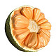 海南红肉菠萝蜜  8-10斤