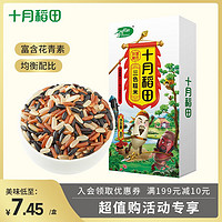 抖音超值购：十月稻田 东北三色糙米粗粮五谷杂粮480g*2