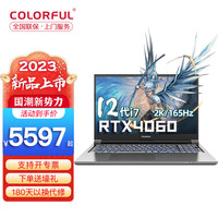  COLORFUL/七彩虹 RTX高色域电竞专业高刷屏 游戏本笔记本电脑 16G内存  无机械硬盘 2560*1440 intel i7 灰色 165Hz 16GB 1TB RTX