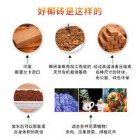 菜多美 椰砖 养花肥料营养土