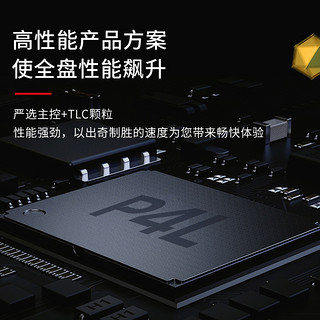 GeIL金邦 P4L/P4P 1T 2T NVME m.2 笔记本台式机电脑固态硬盘SSD