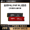 GeIL金邦 P4L/P4P 1T 2T NVME m.2 笔记本台式机电脑固态硬盘SSD