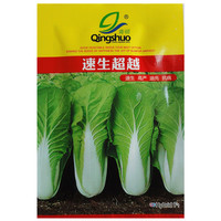 花相国 奶油快菜20天速生小白菜农家菜园阳台春秋冬四季播蔬菜 速生(2包实惠装)