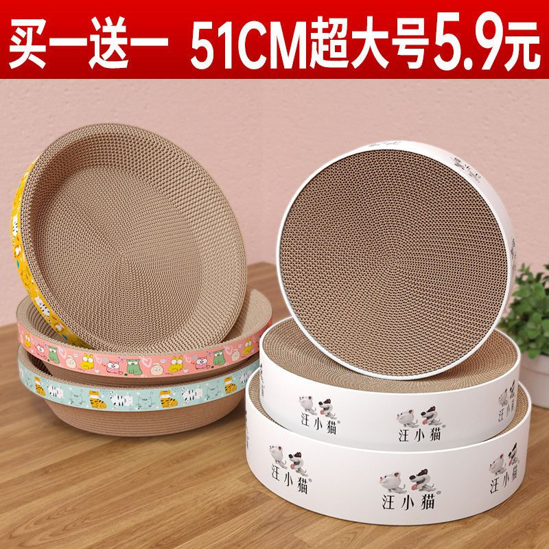 送礼新选择—2000以内送只猫“茸化”她,感情稳定别争夺抚养权哦~