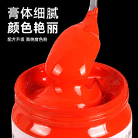 TUHUITONG 图绘通 丙烯颜料防水防晒不掉色墙绘专用染料24色美术绘画儿童画画衣服手工diy彩绘肌理画立体画颜料白色金色