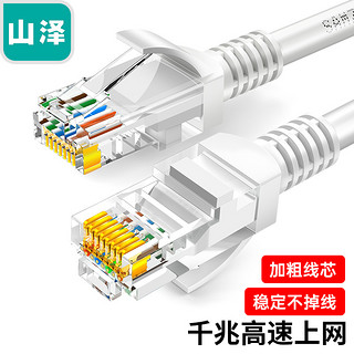 SAMZHE 山泽 ZW-08 超五类CAT5e 百兆网线 贝吉色 8m