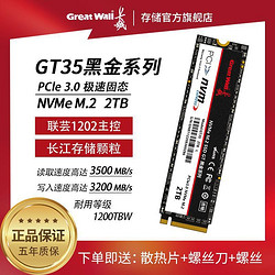 Great Wall 长城 GT35 1T 2T长江储存512G M.2 NVMe SSD 固态硬盘高速 PCIE3.0