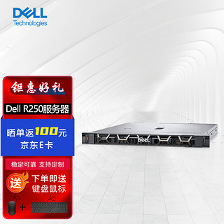 戴尔（DELL) R250入门机架式服务器文件共享办公打印数据库存储E-2356G(6核)/16G/2*1T企业SATA/定制