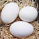 广西生鹅蛋散养土鹅蛋 12枚小蛋(单个80-100g)