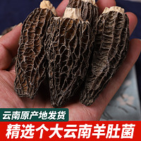 千狮山 羊肚菌干货云南特产级500g官方旗舰店磨茵羊肚箘菇汤包牛肚菇礼盒