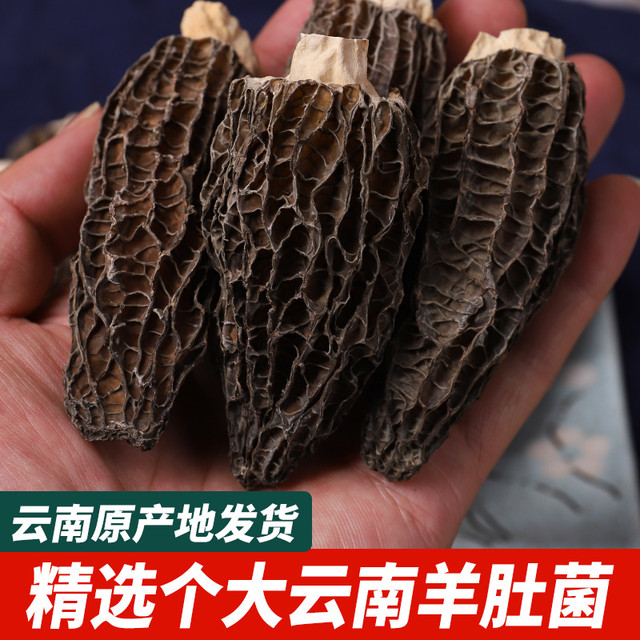 千狮山 羊肚菌干货云南特产级500g官方旗舰店磨茵羊肚箘菇汤包牛肚菇礼盒