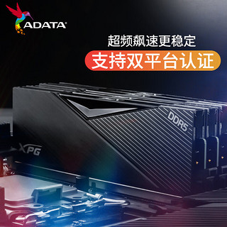 ADATA 威刚 32GB(16GX2)套装 DDR5 6400 台式机内存条 海力士A-die颗粒-LANCER (黑色)C32