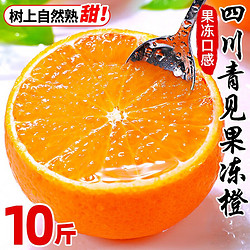 龙觇  青见果冻橙   9斤 单果85MM+
