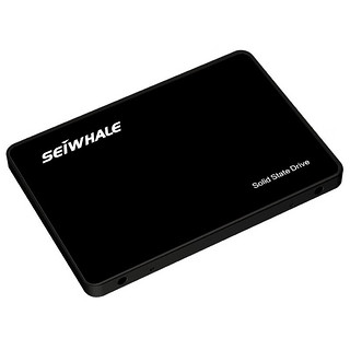 SEIWHALE 枭鲸 Z700系列 SATA 固态硬盘