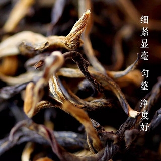 PUMEN 蒲门 蒲门原味工夫滇红茶古树茶 滇红金芽金针一级 300g