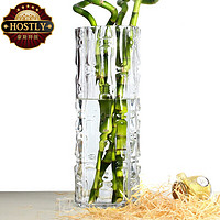 HOSTLY 豪斯特丽 透明玻璃花瓶特大号富贵竹落地花瓶百合水培加厚水晶客厅摆件 圆形 高50CM直径15CM