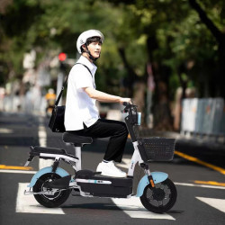 aima 爱玛 新国标电动自行车 tdt1235z 咖啡色