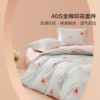 BLISS 百丽丝 床上四件套 纯棉被套床单四件套床上用品套件全棉被罩被单 40S全棉印花 1.8米床四件套适配220*240cm被芯