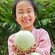 乌岽山 冰淇淋玉菇甜瓜 净重4斤(2-2.5个)