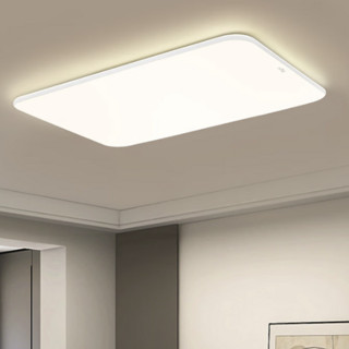 雷士照明 雷士（NVC）LED吸顶灯 现代简约客厅 卧室 书房 餐厅灯具 超薄 白玉108瓦