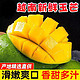 鼎鲜满越南大青芒 大芒果 青皮芒 可生吃当季热带时令水果 净重9斤单果500g-600g