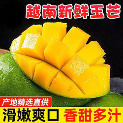 鼎鲜满越南大青芒 大芒果 青皮芒 可生吃当季热带时令水果 净重9斤单果500g-600g