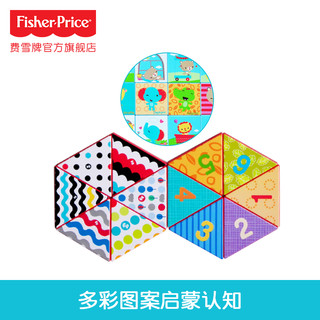 费雪 静态塑胶玩具/38片磁力拼图积木早教益智婴儿拼图玩具