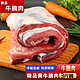 闲功夫 新鲜黄牛腩肉 1400g