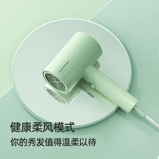 FLYCO 飞科 FH6296 电吹风  翡翠绿